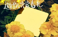 Have you ever noticed the colors of spring?