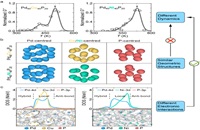 Research Team led by Professor Yu Haibin from the Strong Magnetic Field Center Makes New Progress in the Study of Amorphous Material Dynamics and Electronic Structure